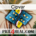 Cipvar cialis5